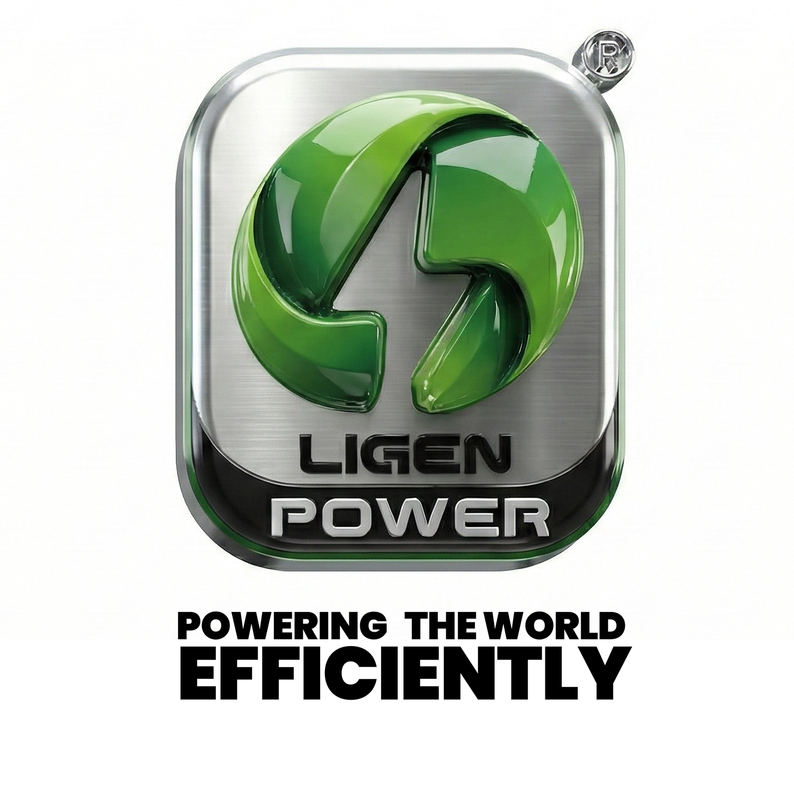 Ligen Power® Logo
